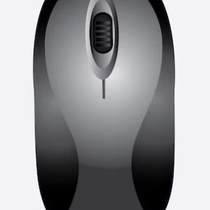 SOURIS SANS FIL